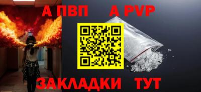 гашик Кингисепп
