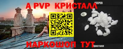 гашик Кингисепп
