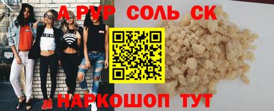 гашик Кингисепп