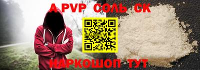 гашик Кингисепп