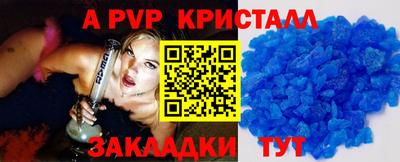 гашик Кингисепп