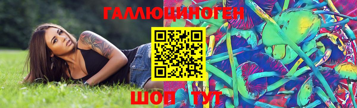 Псилоцибиновые грибы прущие грибы Коряжма